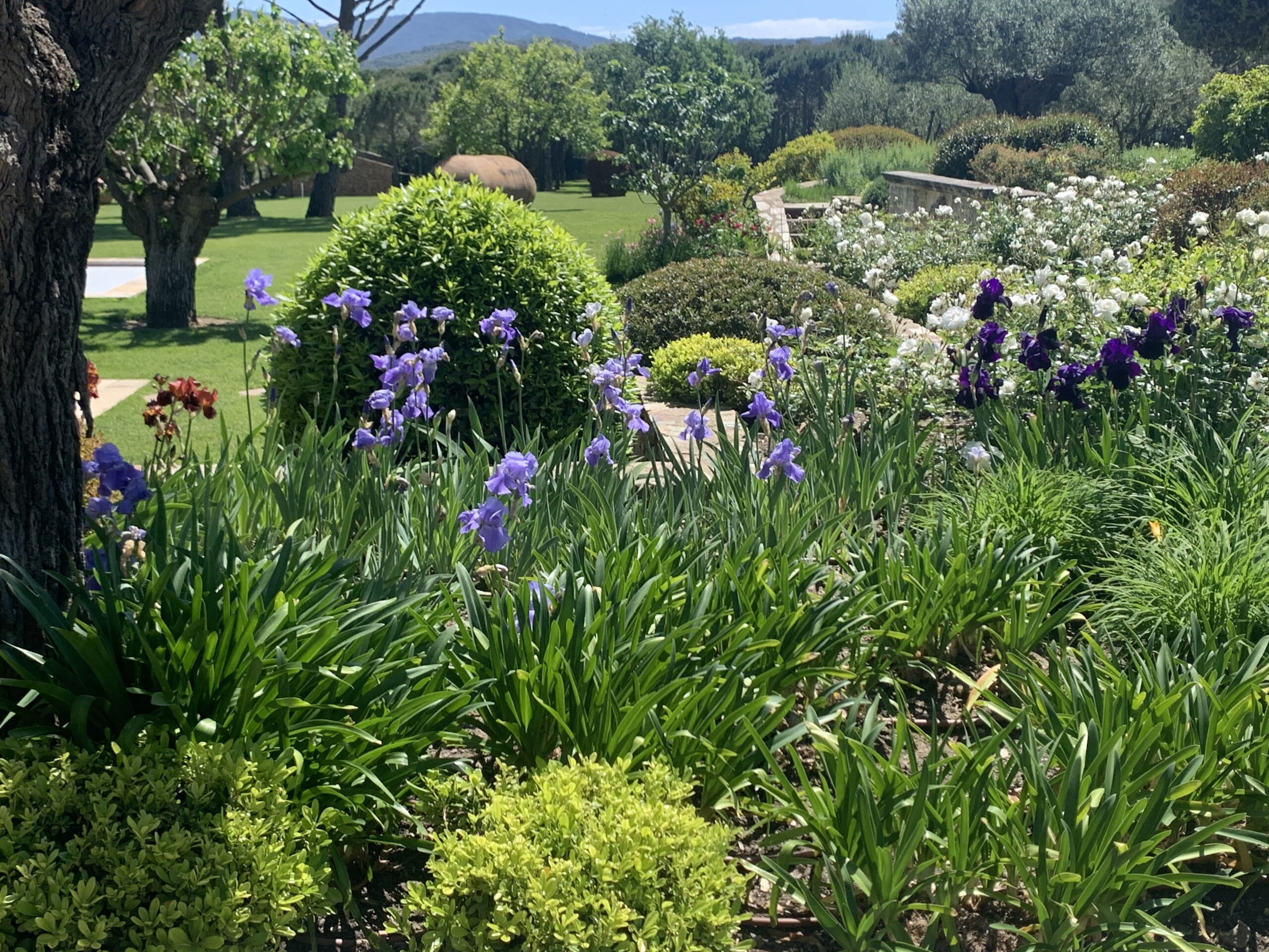 entretien de jardin paysagiste var cogolin