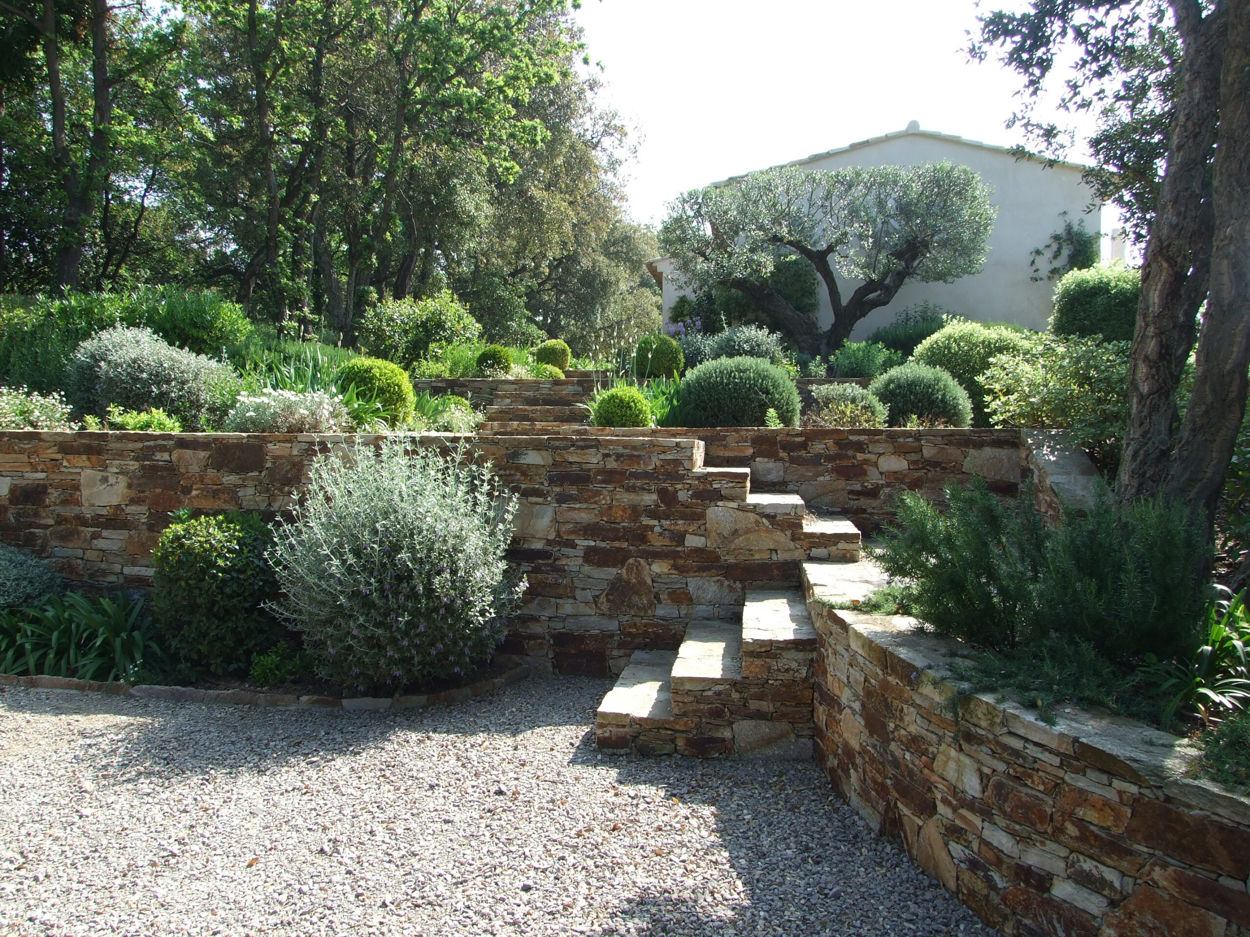 Jardin escalier pierre creation jardin Gassin