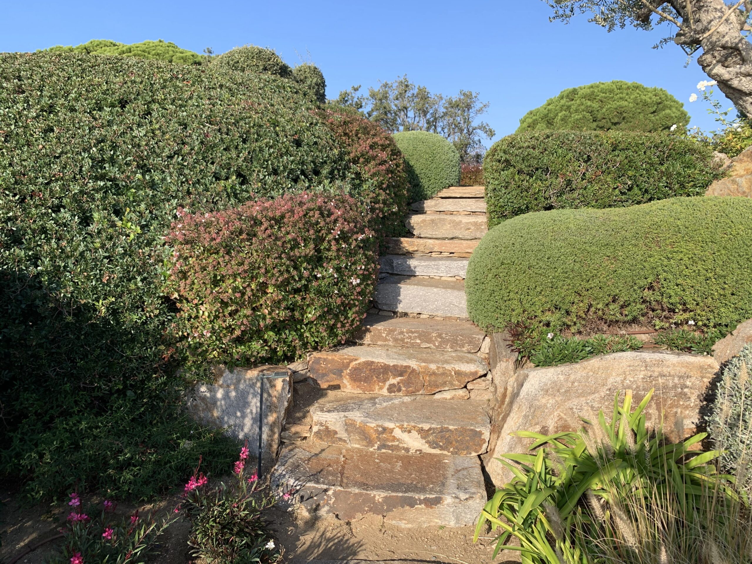 escalier5