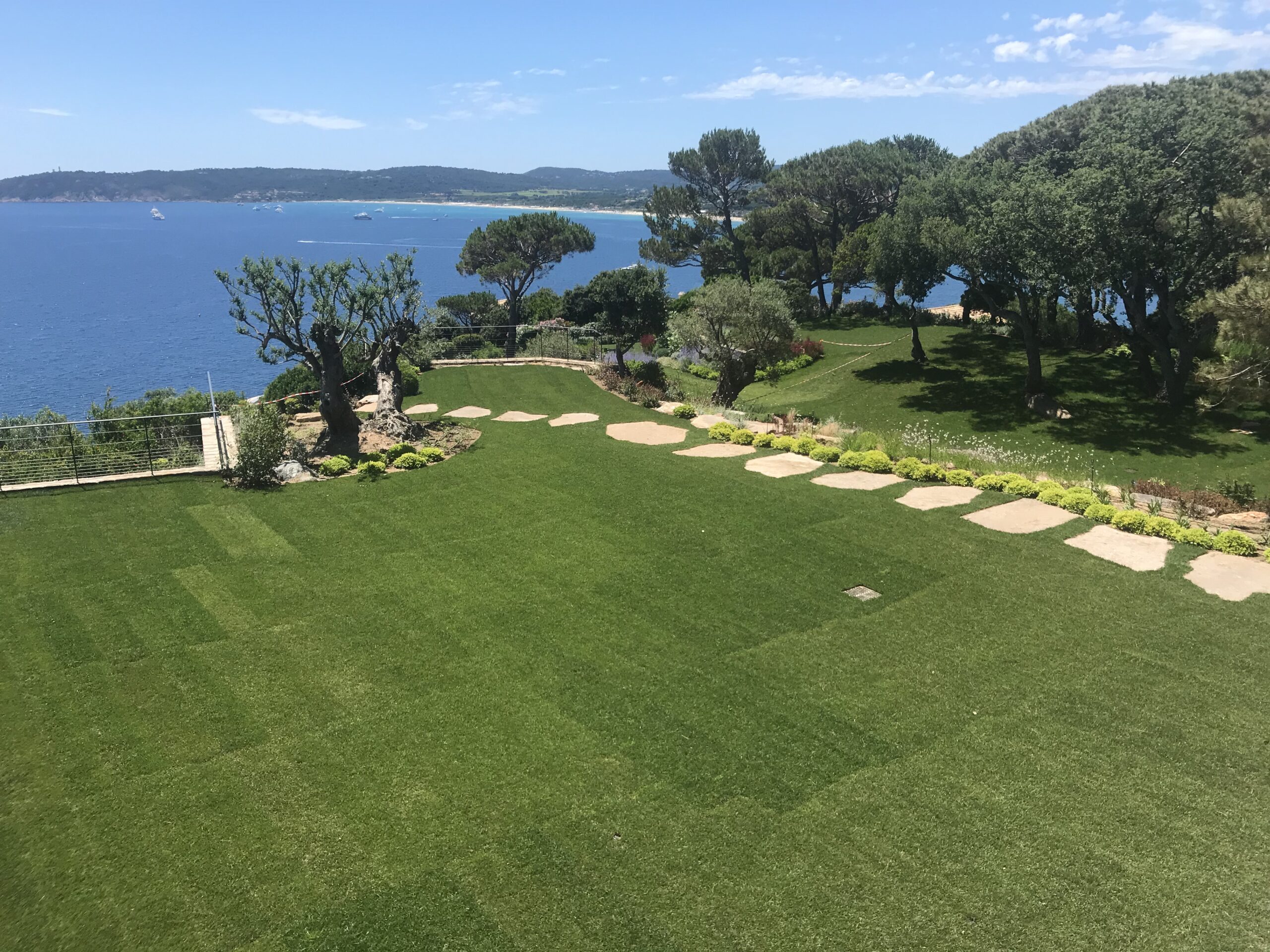 gazon naturel 1